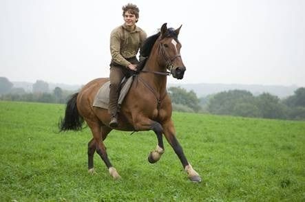 CHEVAL-DE-GUERRE-photo.jpg