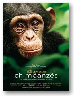 Disneynature-Chimpanzes-copie-1.jpg