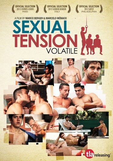 Sexual-Tension-Volatile-affiche.jpg