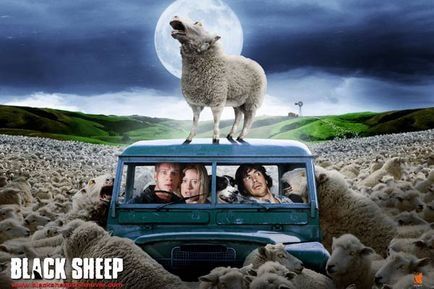 Black Sheep Black Sheep