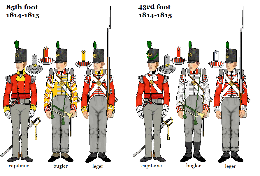 Les régiments de légers anglais 43rd et 85th foot dans la guerre de 1812 -  les uniformes de la guerre de 1812