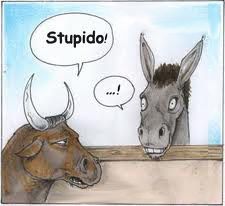 stupido.jpg