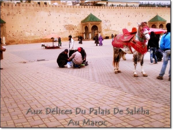 Voyage-au-MarocP1050273.JPG