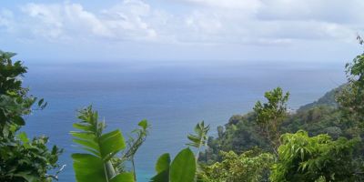 01_grand_riviere_anse_couleuvre