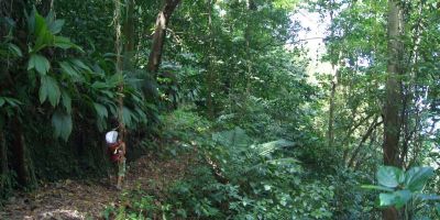 01_grand_riviere_anse_couleuvre