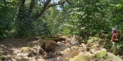 01_grand_riviere_anse_couleuvre