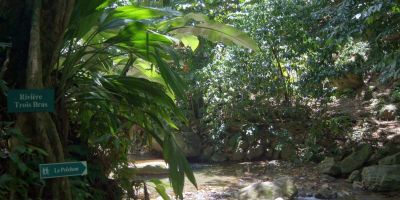 01_grand_riviere_anse_couleuvre