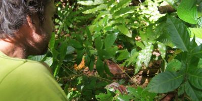 01_grand_riviere_anse_couleuvre
