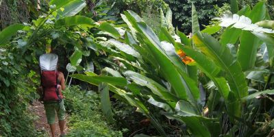 01_grand_riviere_anse_couleuvre