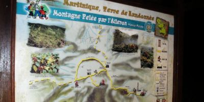 07_montagne_pelee_aileron