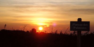 07_montagne_pelee_aileron