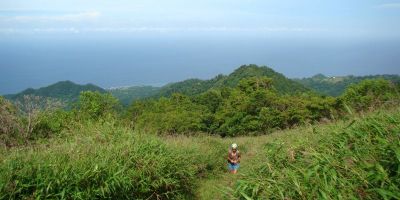 12_montagne_pelee_grande_savane