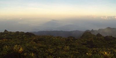 12_montagne_pelee_grande_savane