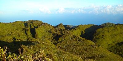 12_montagne_pelee_grande_savane