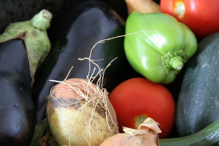 ratatouille