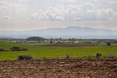 Cedillo de la Torre