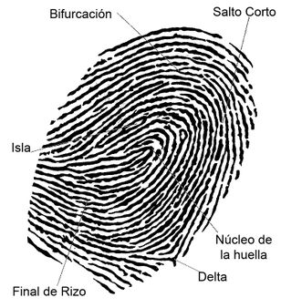 1 HuellaDigital con sus partes | Source | Author Engineersoft | Date