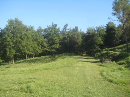 Bosquecillo entre el Torn y Mieres