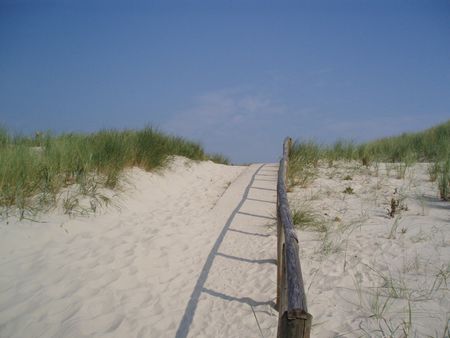 Dunes at western beach of Ameland | Source | Date 2006-08 | Author Wee