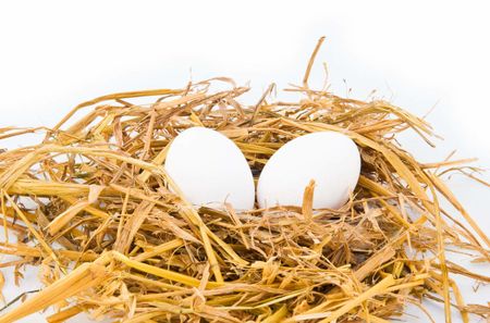 two eggs in a hay nest
