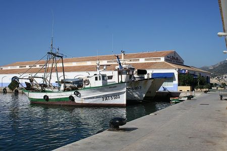 Puerto pesquero de Calpe