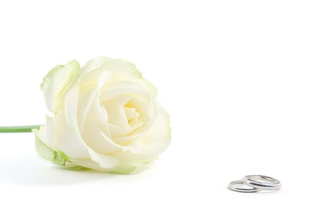 wedding rings and a rose