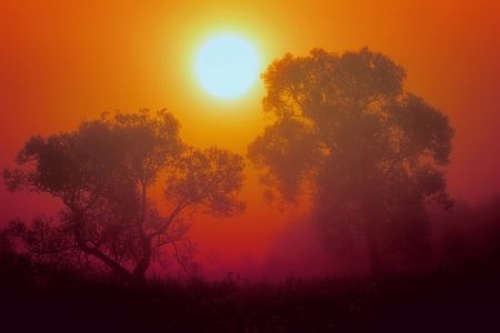 red fog