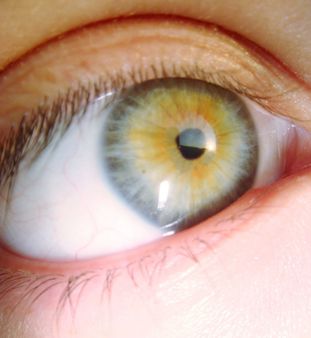 mi ojo