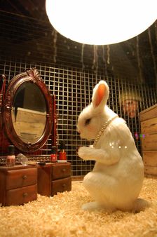 Color Cosmetics Rabbit