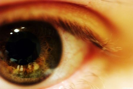 Eye