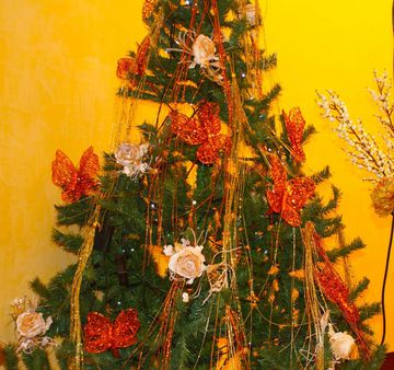 1 christmast tree 1 Trattasi del mio albero di Natale 2010 | Source | 