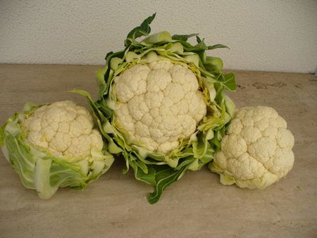Cavolfiore Cauliflower Blumenkohl