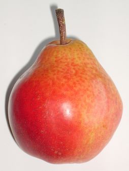 Eine rote Birne aus Argentinien A red pear from Argentina Une poire ro