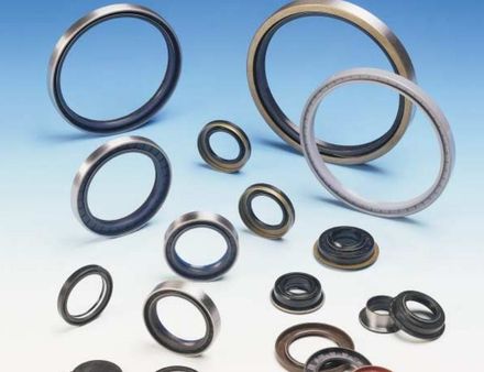 Anelli di tenuta - Euro Bearings