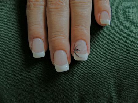 Schöne Fingernägel - Welcher Nagelschmuck ist gerade IN - Blog von geldtipps