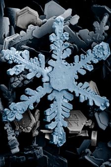 Ordinary hexagonal dendrite This version has been artificially color
