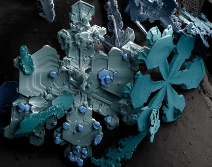 Snow flakes highly magnified by a low-temperature scanning electron mi