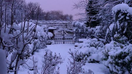 Snow