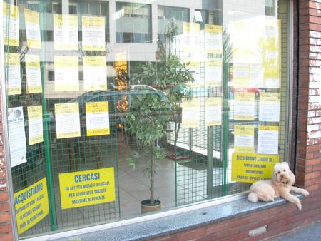 un cane immobiliare