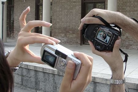 Camera LCDs
