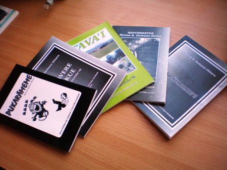 Libros en idioma guarani por Ateneo de Lengua y Cultura Guarani | Sour