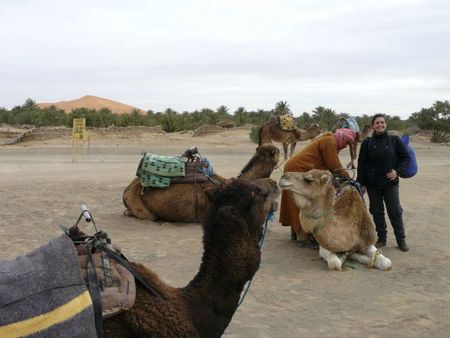 Marruecos, Marrakech , المغرب