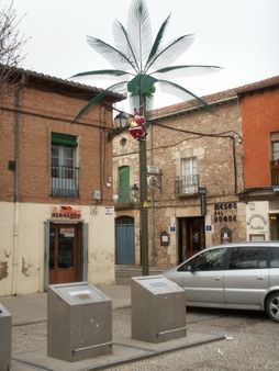 Trepando la palmera