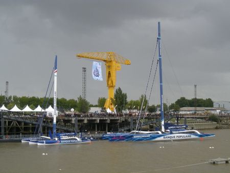 La grue Titan sur lIle de Nantes
