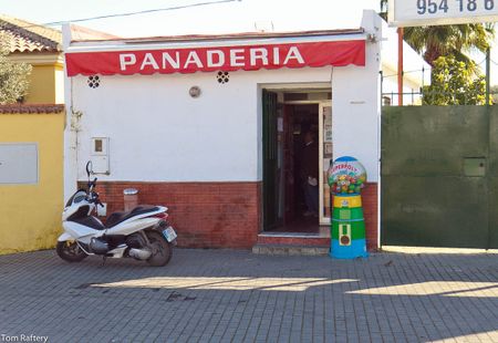 Local bread shop!