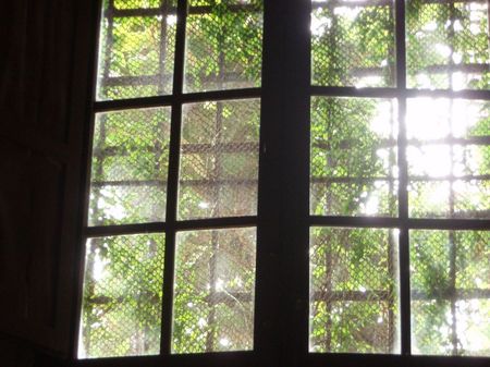 Windows: Serene in Barcelona
