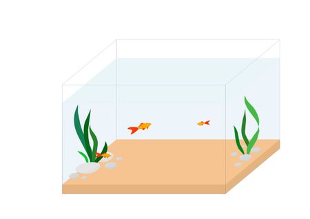 aquarium