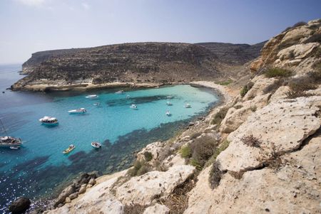 cala pulcino