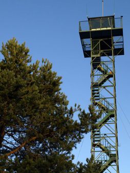 torre forestal