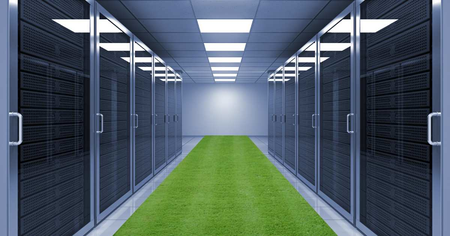 Server room with grass!